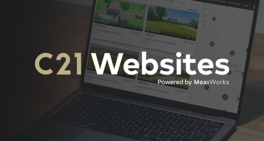 C21 Websites
